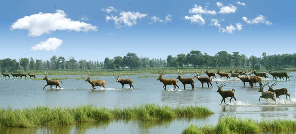 �������Y